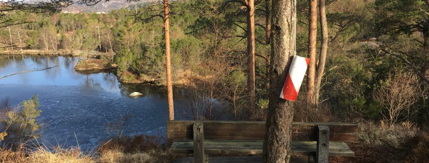 postmarkør henger på et furutre