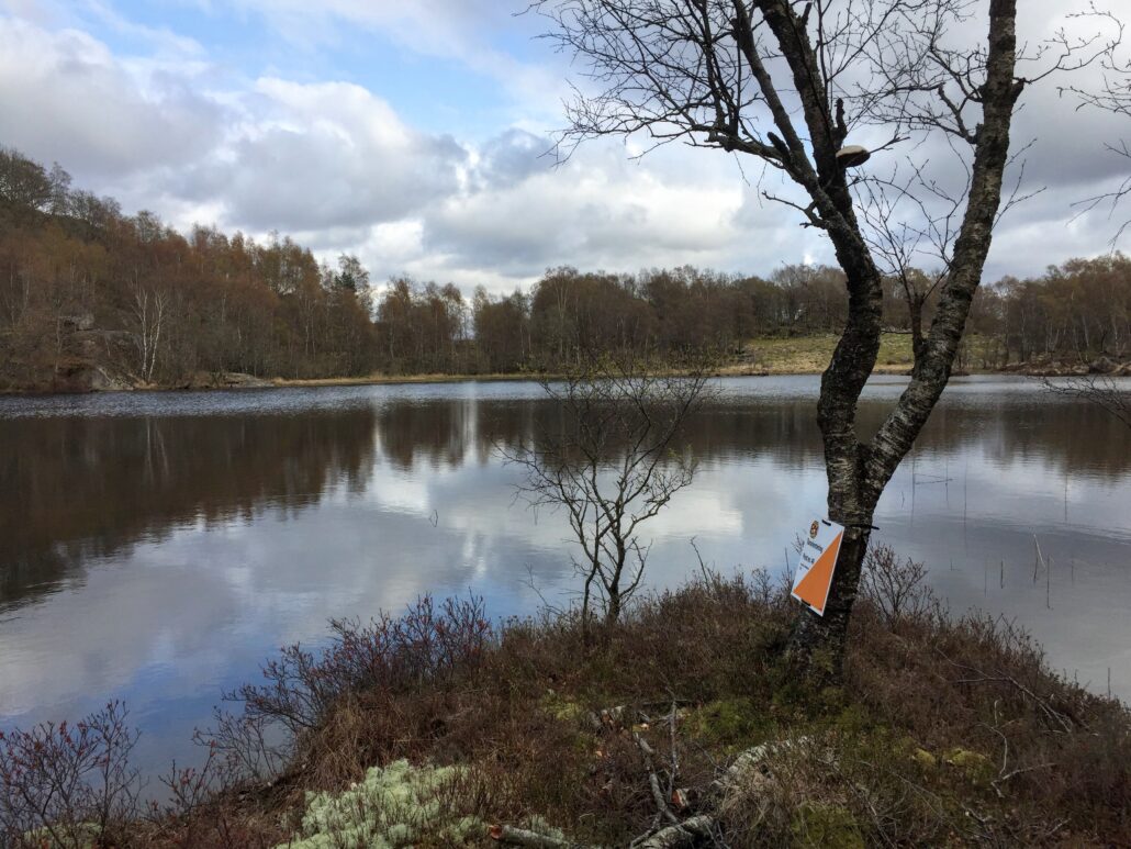 Bilde av orienteringsmarkør i landskap ved tjern.