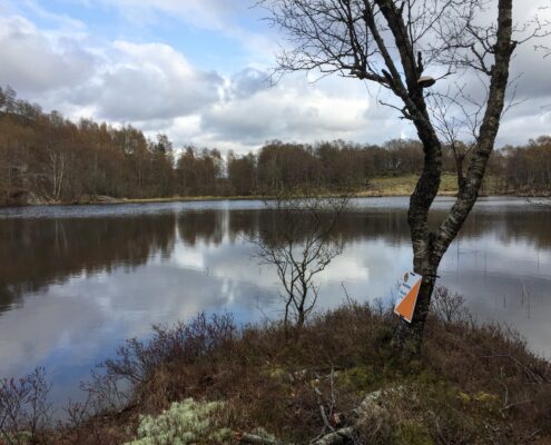 Bilde av orienteringsmarkør i landskap ved tjern.